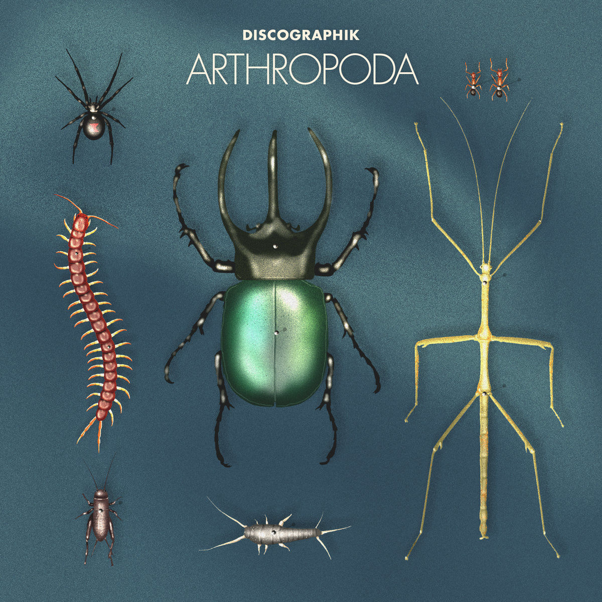 Arthrophoda Discographik